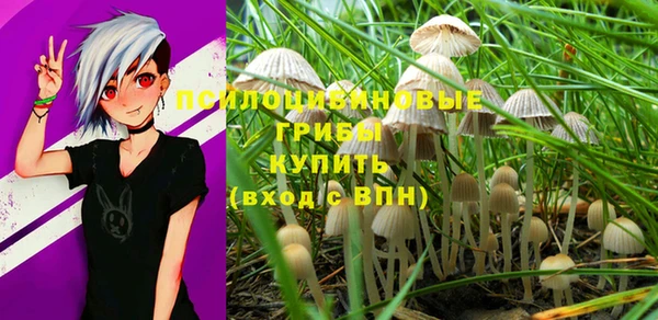 сатива Алзамай