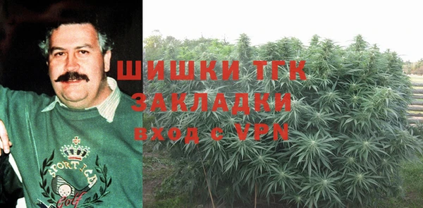 сатива Алзамай